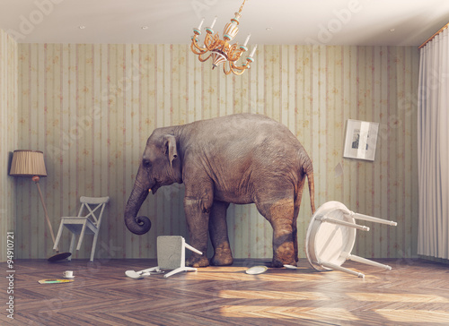 Photo  a elephant in a room