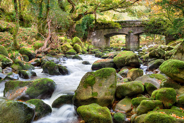 Wall Mural - Shaugh Bridge