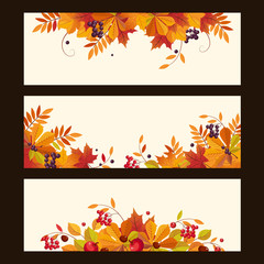 Sticker - Autumn Banners with Leaves, Chestnuts and Ripe Berries, Vector Illustration