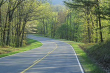 Skyline Drive In Shenandoah National Park In Spring, Virginia