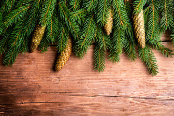 Wall Mural - tree branches on wooden background