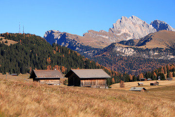 Wall Mural - Autunno all'Alpe di Siusi, Alto Adige tra larici, prati d'alta quota, malghe e Torggelen