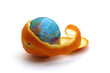 globe wrapped in orange peel