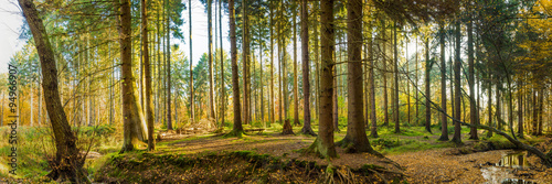 Obraz w ramie Wald Panorama im Herbst