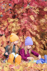 Wall Mural - Little adorable girls at warm sunny autumn day outdoors