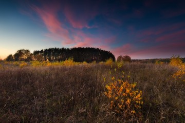 Poster - Beautiful autumnal sunset landscape