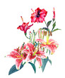 Beautiful tropical bouquet pink lilies and scarlet hibiscus. Isolated on white background. For fashion or stationery, greeting/invitation card Hawaiian style, detailed botanical illustration.