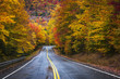 Brilliant fall floiage colors along New HAmpshire highway.