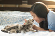 © lalalululala - Beautiful asian girl kissing american shorthair cat
