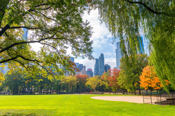 Poster - Buildings and foliage in Central Park, Manhattan