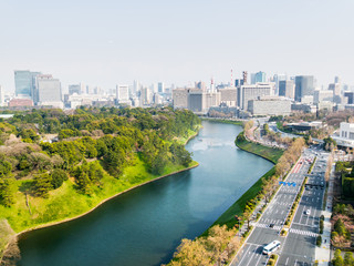 Canvas Print - Tokyo