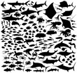 Saltwater fishes vector silhouettes collection