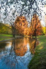  Bright morning over river in the forest. River and trees in fall. Autumnal morning with beautiful warm colors in park