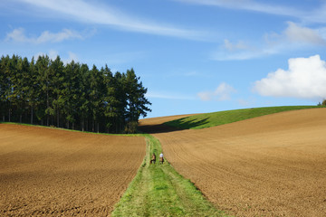 Wall Mural - Paysage Campagne 107