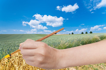 Canvas Print - brush paints yellow harvest in green wheat field