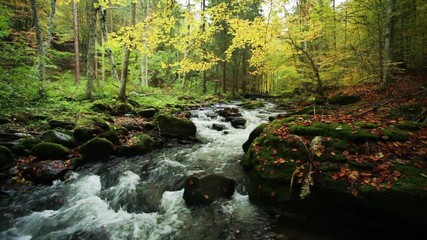 Fototapete - Autumn river landscape with nature sounds