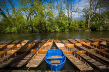 Punting, Cherwell Boathouse, Oxford, Oxfordshire
