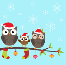 Christmas Family Of Owls