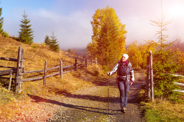 Female Hiker Walking on Pathway in Autumnal Forest