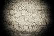 © disha1980 - Cracked earth from the intense heat. Drought. Type of road tread.