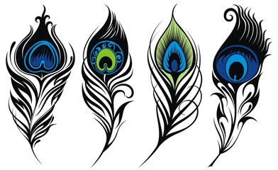  Stylized, vector peacock feathers