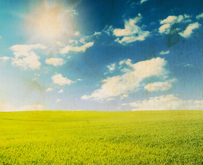Wall Mural - green field under blue sky with white clouds