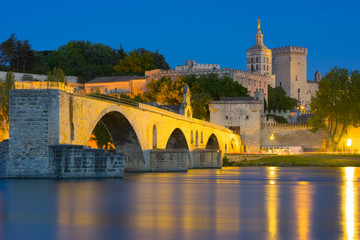 Wall Mural - Avignon in a summer night