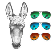 Portrait Of Donkey With Mirror Sunglasses. Hand Drawn Illustration.