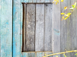 Green Wooden Boards Background