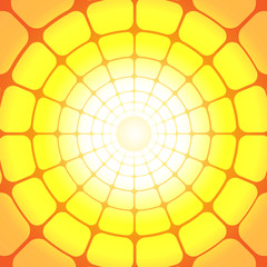 Wall Mural - Vector : Abstract circle on orange background