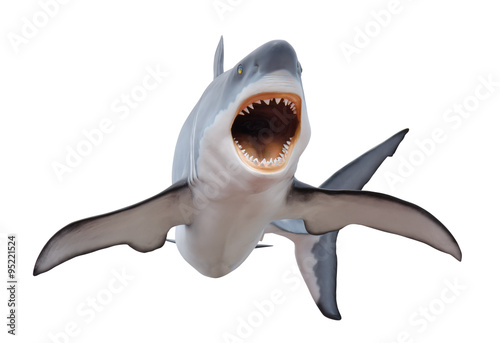 Fotografie, Obraz Fierce great white shark isloated on white