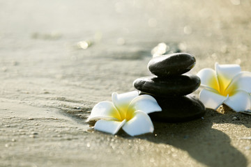 Poster - Pebbles with plumeria on seashore