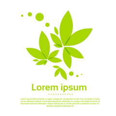 Poster - Tree Logo Icon with Green Leaves Vector