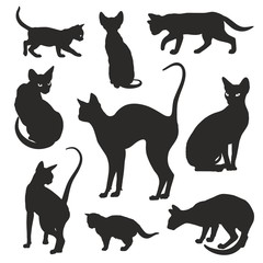 Naklejka na meble Cats silhouettes elegant graphic icon vector set