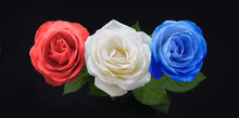 Symbolic Red White And Blue Roses - Three Rose Heads In Red White And Blue On A Black Background Significant To Many Countries National Colors