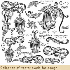 Wall Mural - Vector set of calligraphic elements for design. Calligraphic vec