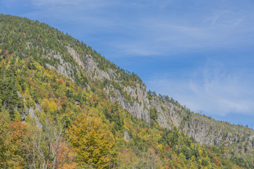 Wall Mural - Sunshine and autumn colors at Moss Cliff.  