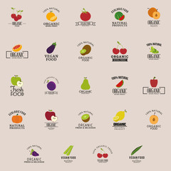 Canvas Print - Organic Food Labels