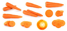 Carrot Isolated On The White Background