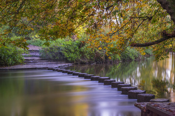 Wall Mural - Stepping Stones over the river Mole at the foot of Box Hill, Surrey, UK