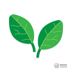 Wall Mural - Spinach leaves icon