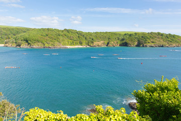 Canvas Print - Devon coast Salcombe England uk in summer with pilot gig boats and blue sea and sky