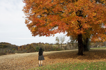 Asian woman standing under the maple tree in autumn