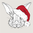 The christmas poster with the image rabbit portrait in Santa's hat. Hand draw vector illustration.