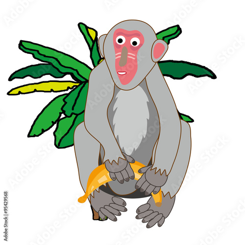バナナを持ったグレーの猿のポップなイラスト素材 Stock Illustration Adobe Stock