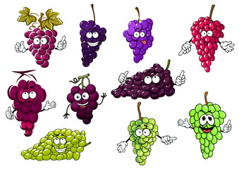 Wall Mural - Sweet purple, green and red grape fruits