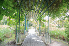  Walkway View, Botanical Garden, Queen Sirikit Park