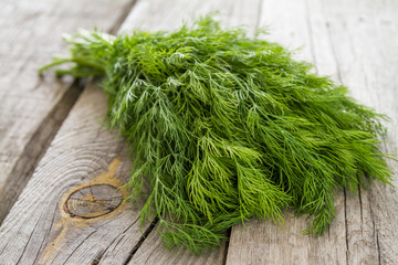 Dill bunch on rustic wood background