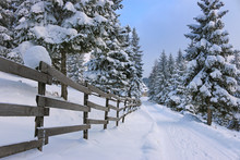 Mountain Road Covered By Snow At Countryside. Winter Landscape With Snowed Trees, And Wooden Fence