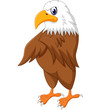 Eagle cartoon posing of illustration
